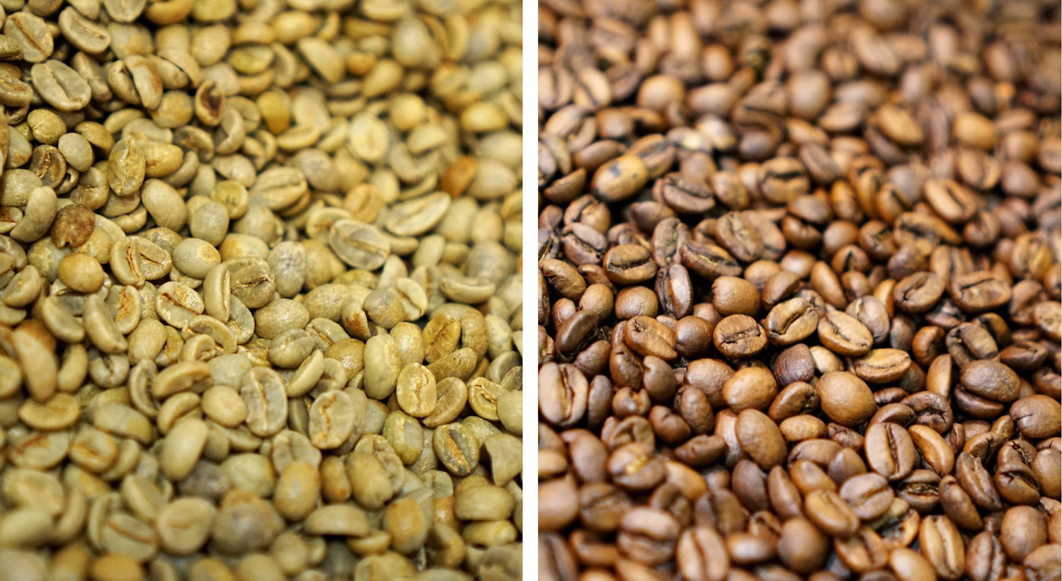 The character of a coffee beans' roast