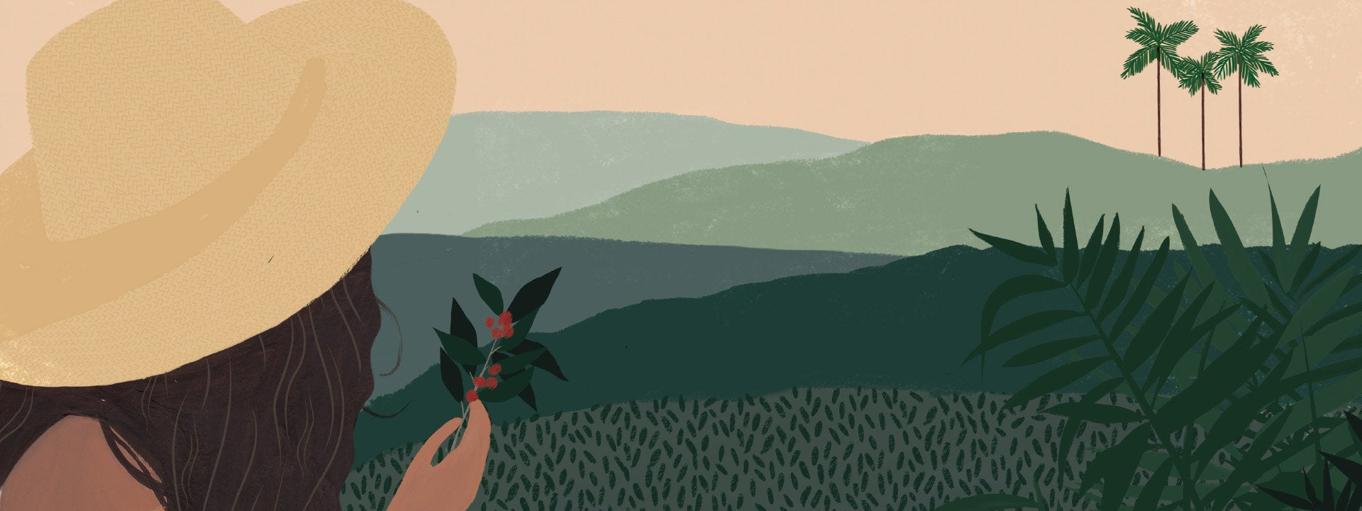 GOAT STORY calendar - coffee beans and fields