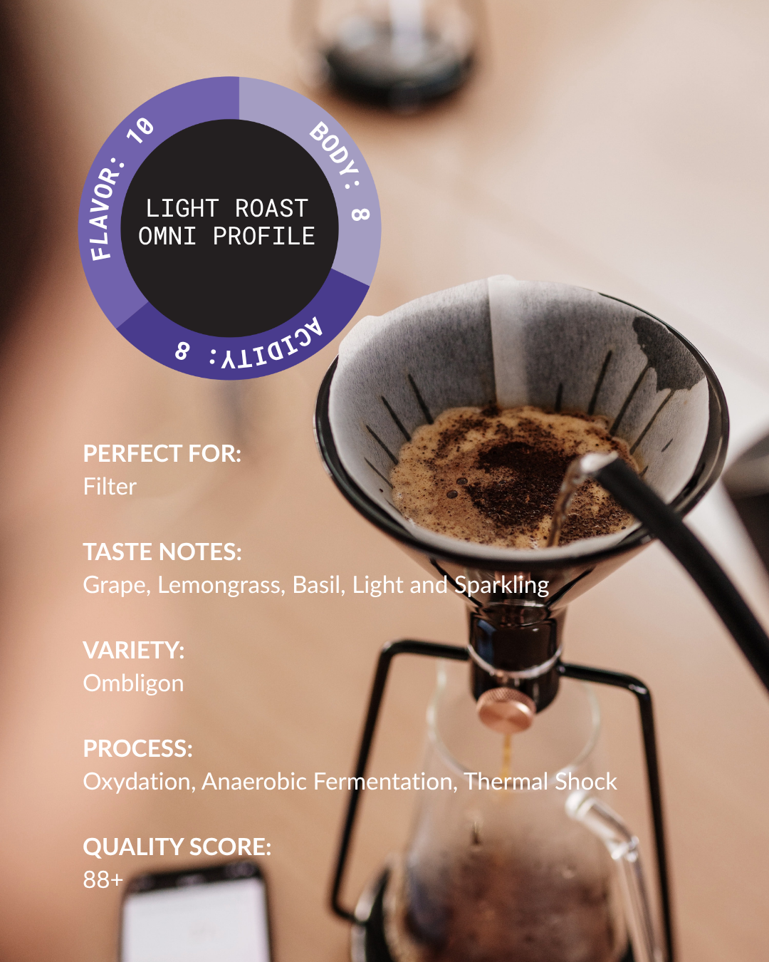 Colombia Finca El Diviso | Ombligon