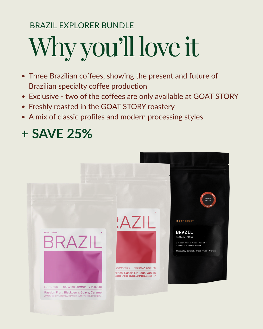 Brazil Explorer Bundle