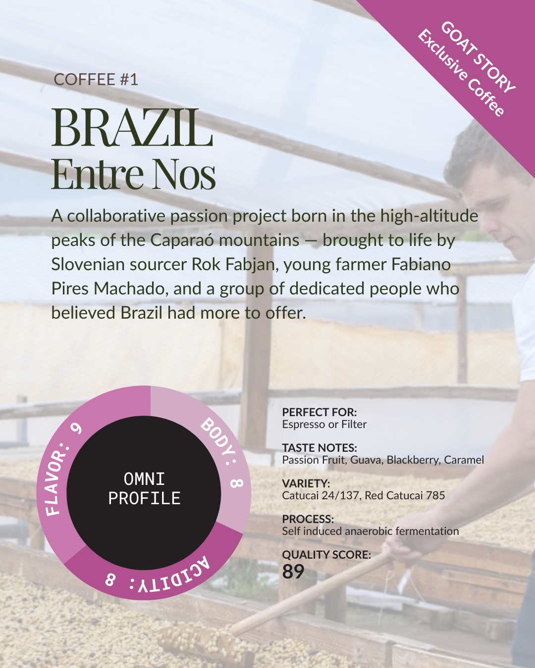 Brazil Explorer Bundle
