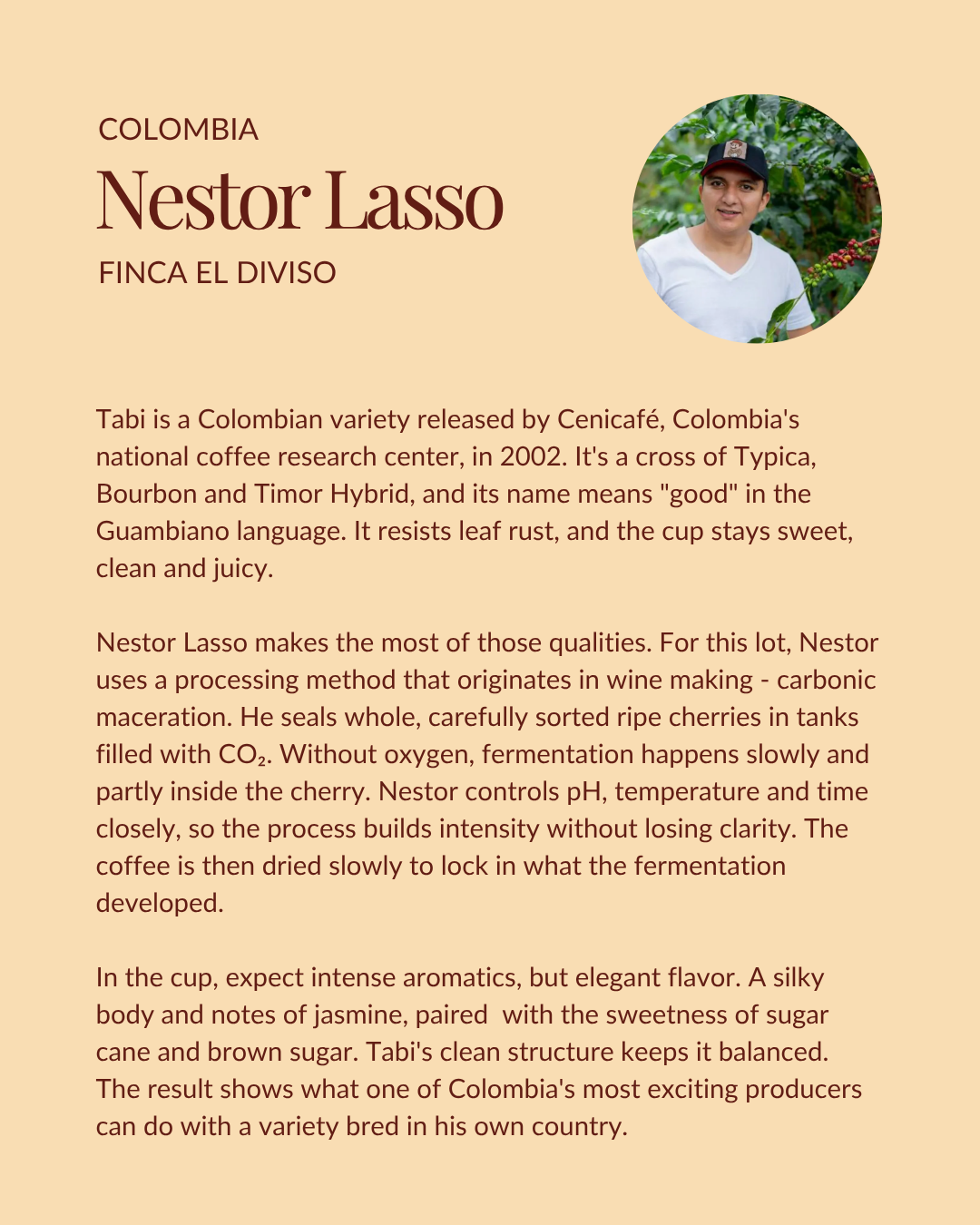Colombia Nestor Lasso | Tabi