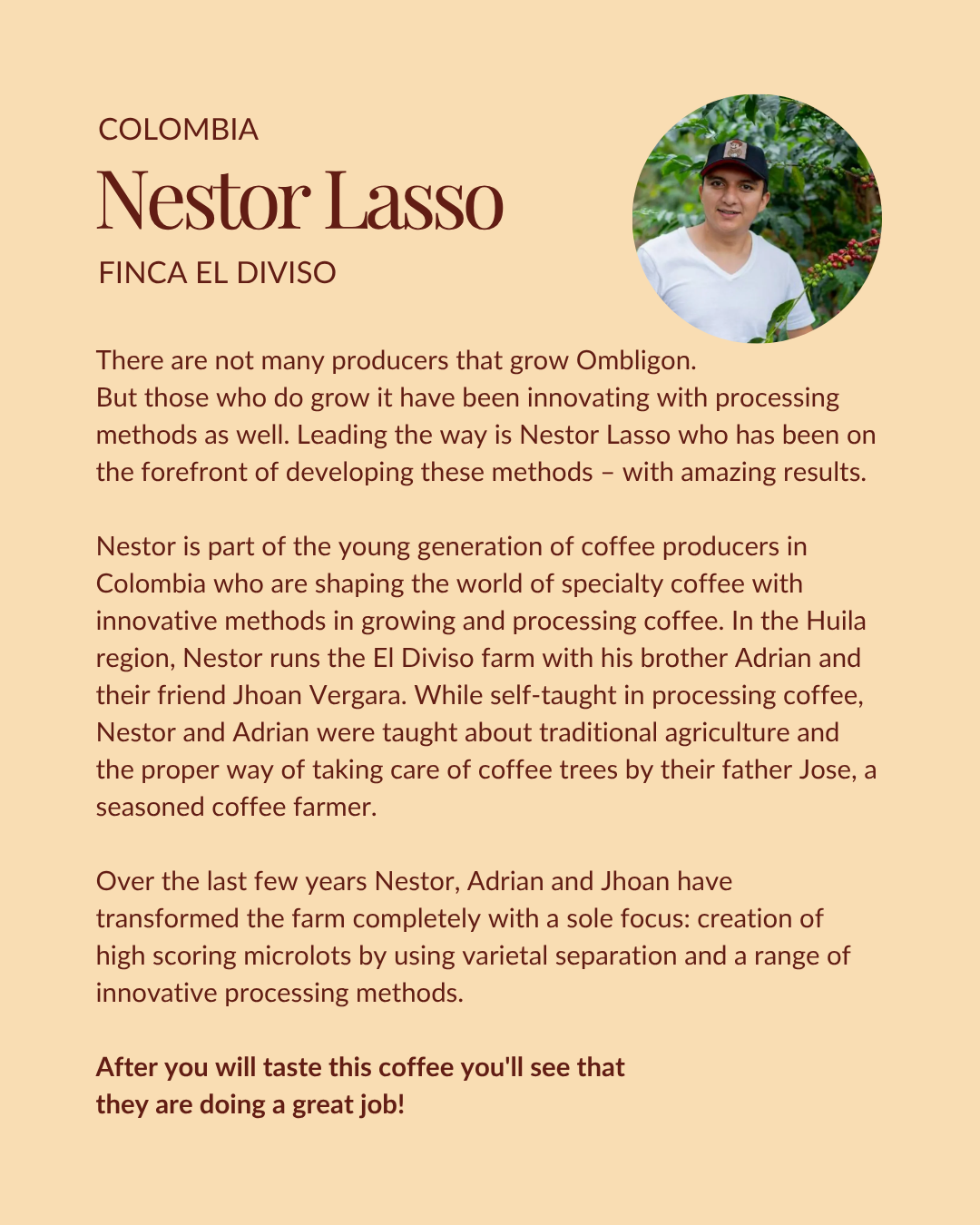 Colombia Finca El Diviso | Ombligon