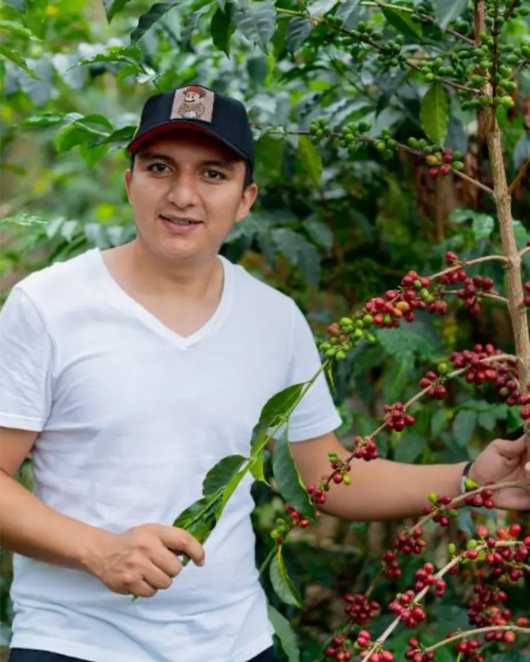Colombia Nestor Lasso | Tabi