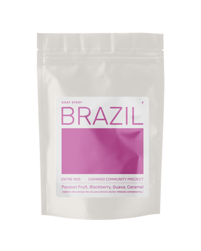 Brazil Entre Nos
