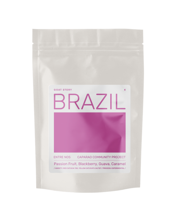 Brazil Entre Nos