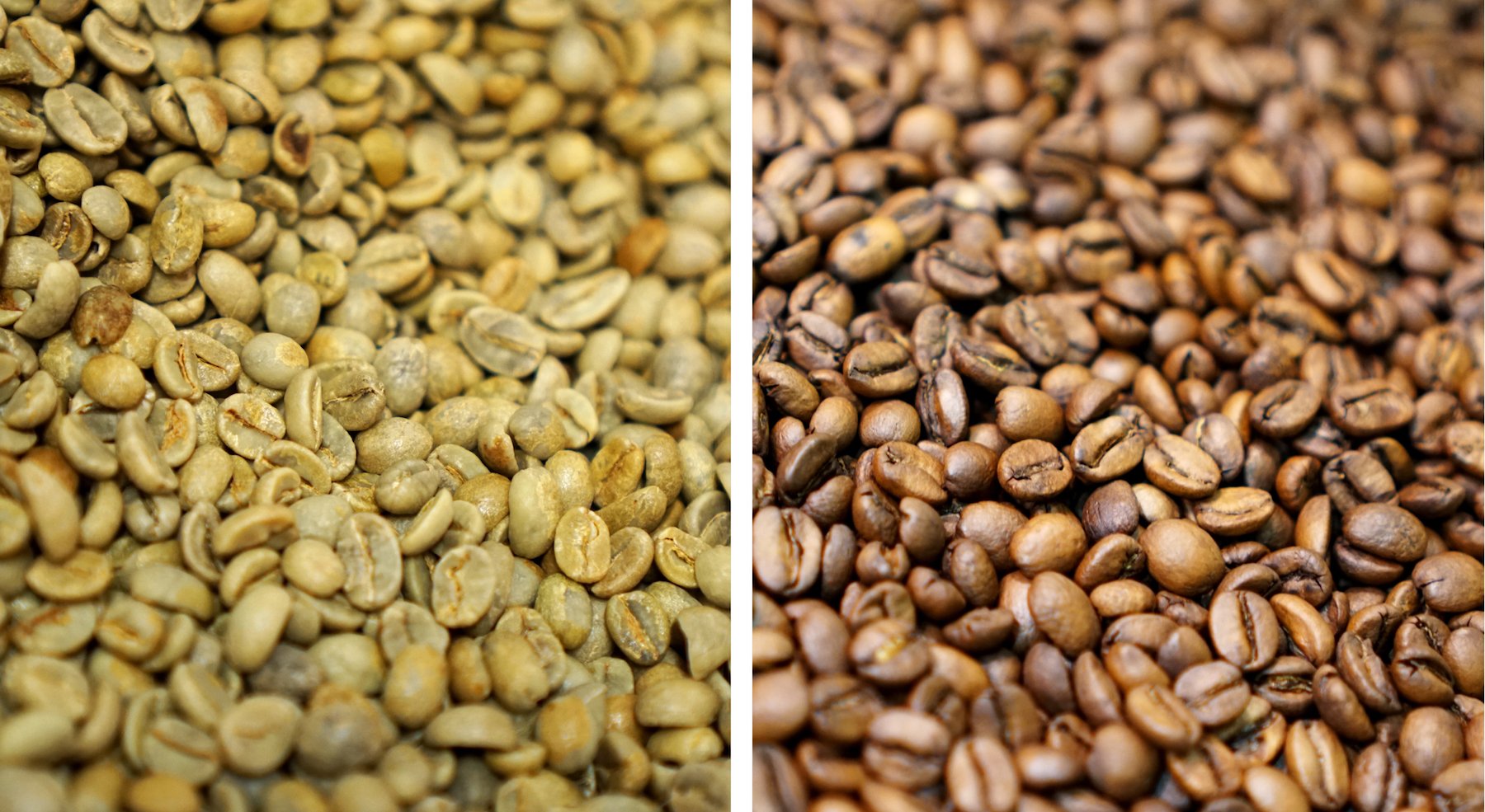 The character of a coffee beans' roast
