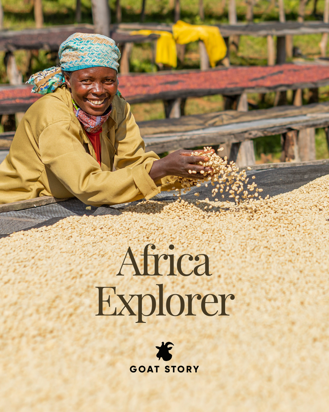 Africa Explorer Bundle