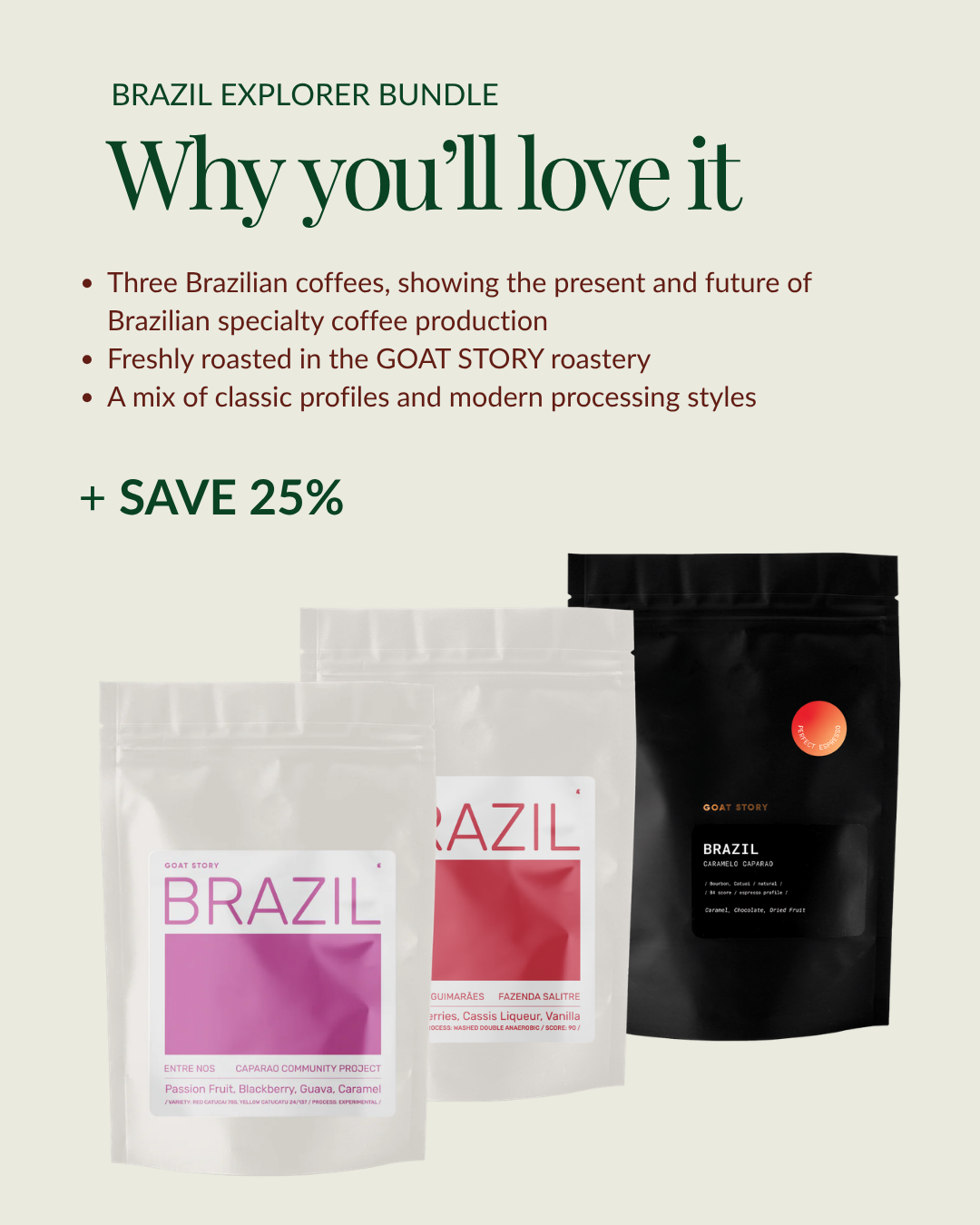 Brazil Explorer