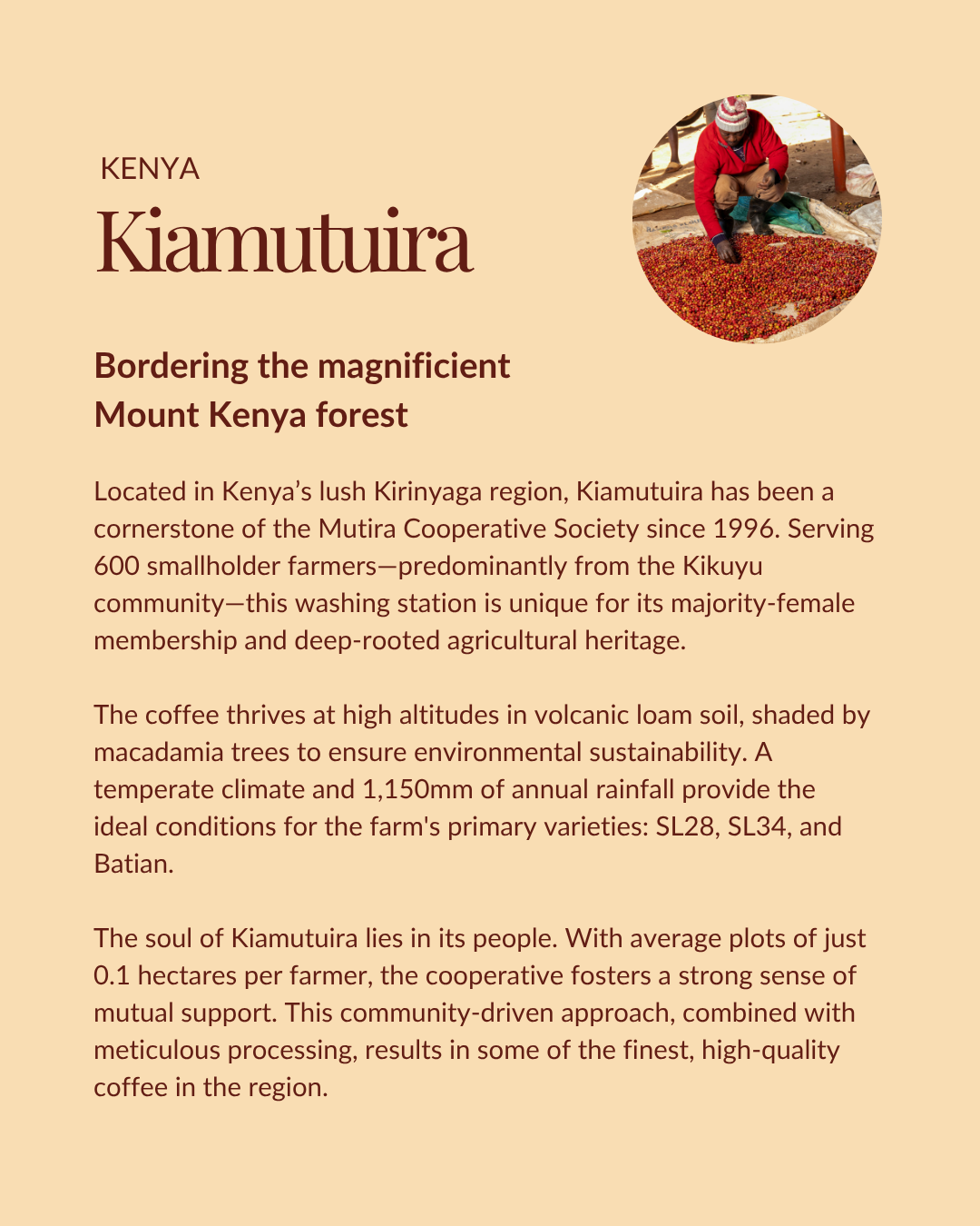 Kenya Kiamutuira