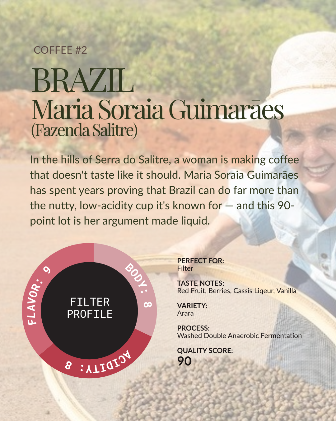 Brazil Explorer Bundle