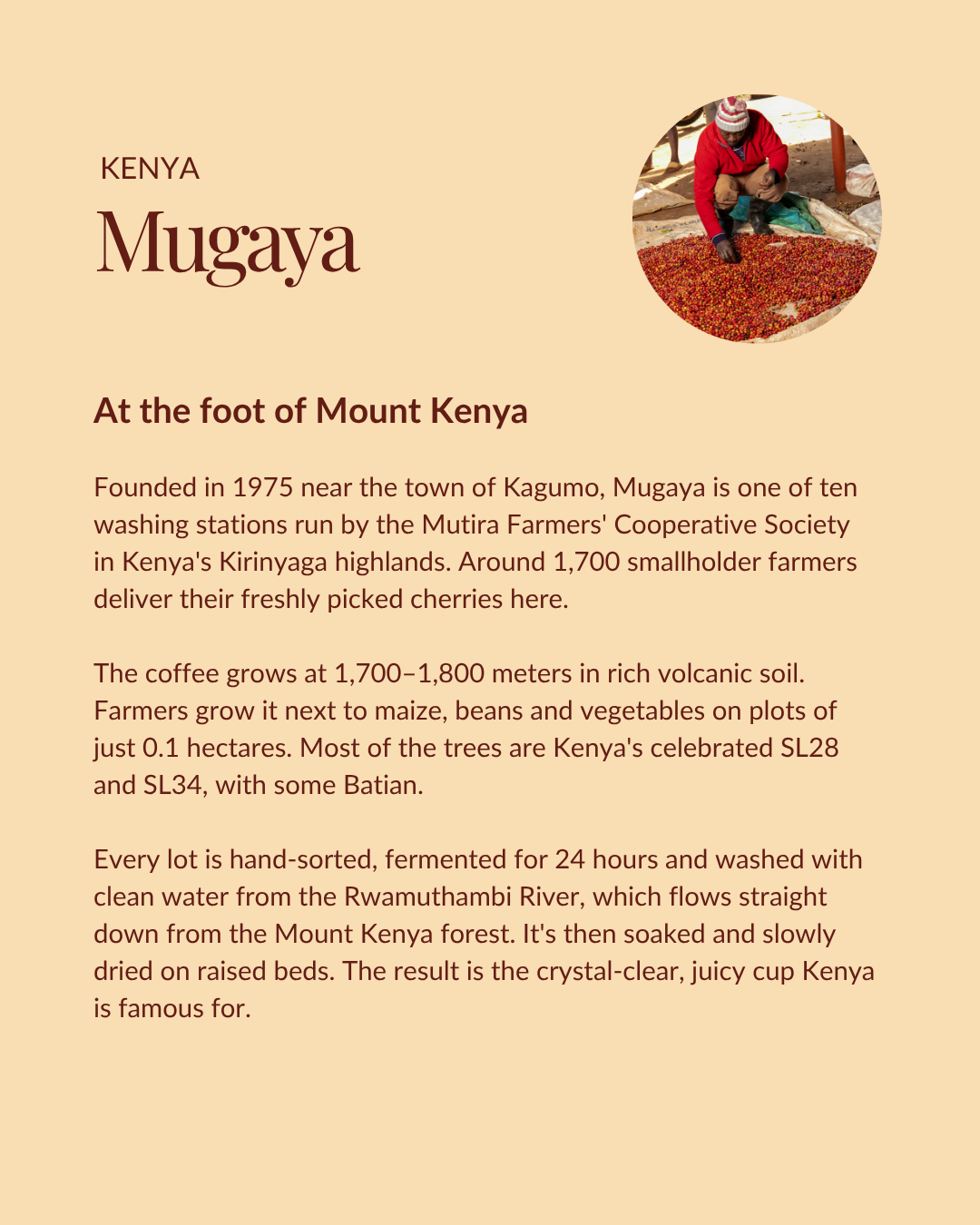 Kenya Mugaya