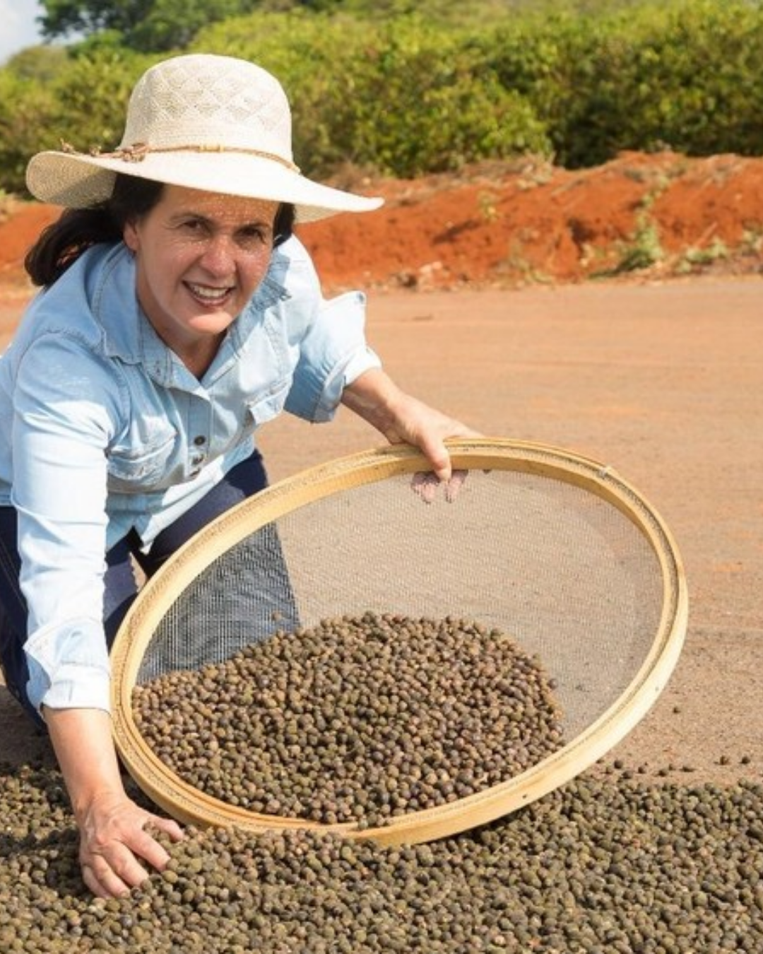 Brazil Maria Soraia Guimarāes