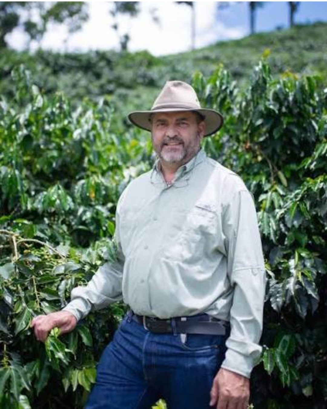 Colombia Finca Milan | Nitro Cofermentation
