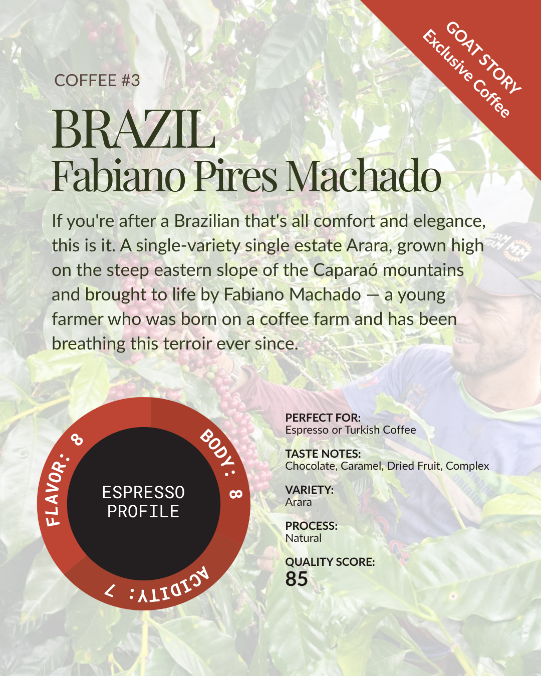Brazil Explorer Bundle