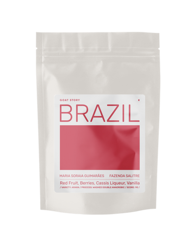 Brazil Maria Soraia Guimarāes