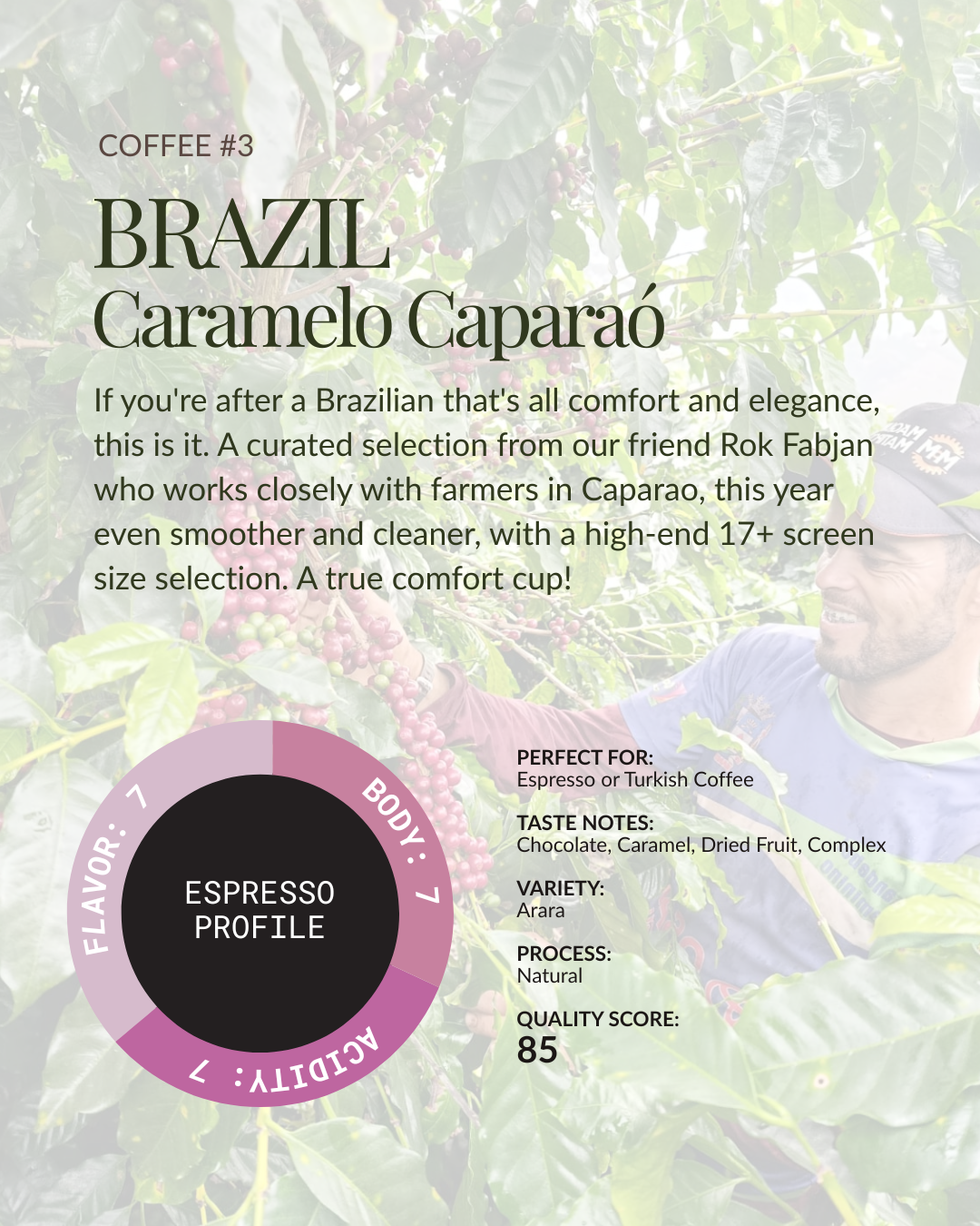 Brazil Explorer
