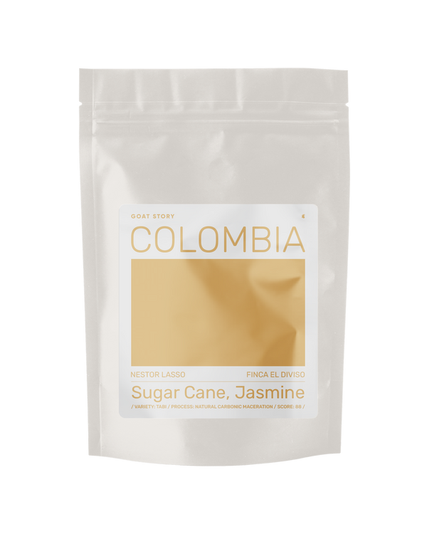 Colombia Nestor Lasso | Tabi