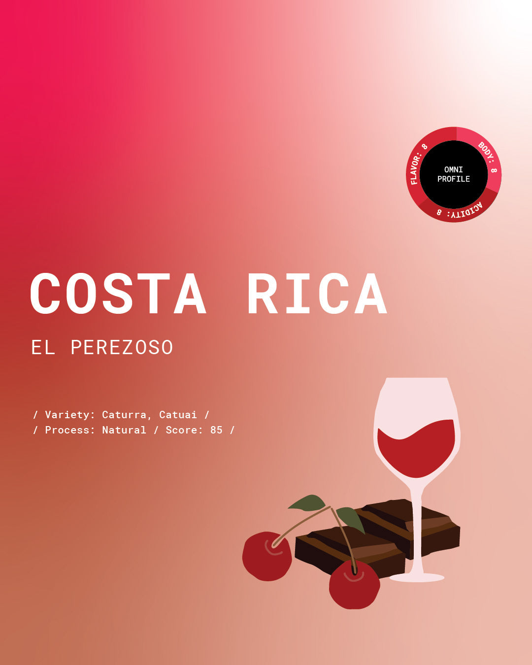 Costa Rica El Perezoso