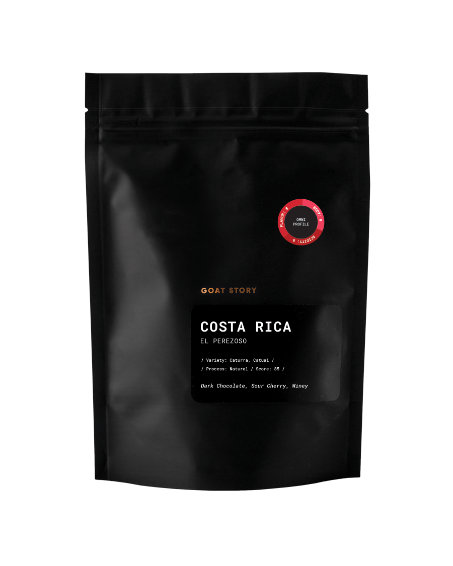 Costa Rica El Perezoso