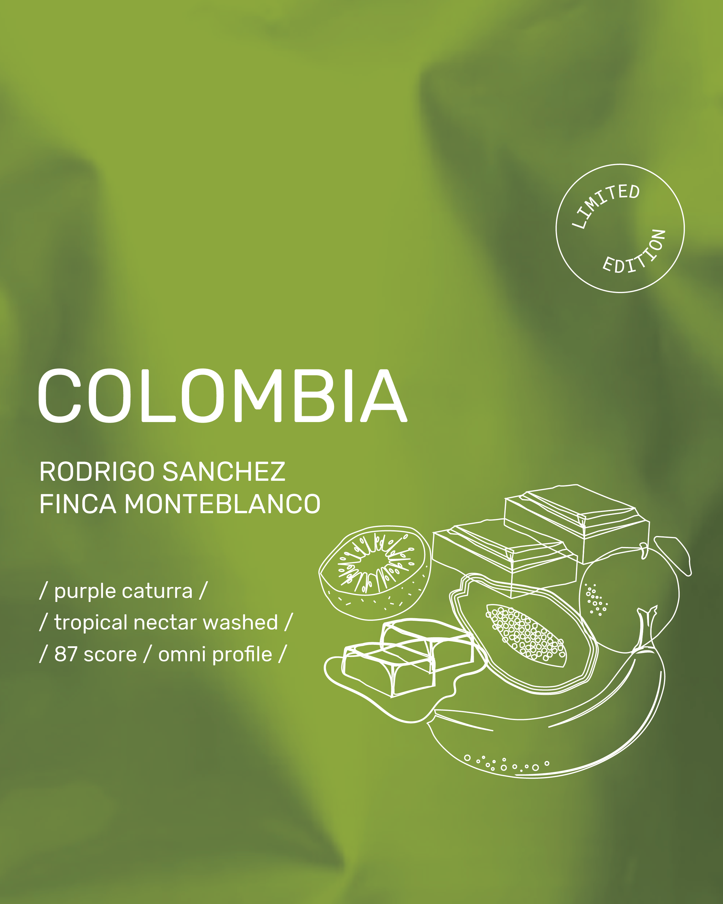 Colombia Monteblanco | Rodrigo Sanchez | Nectar Tropical