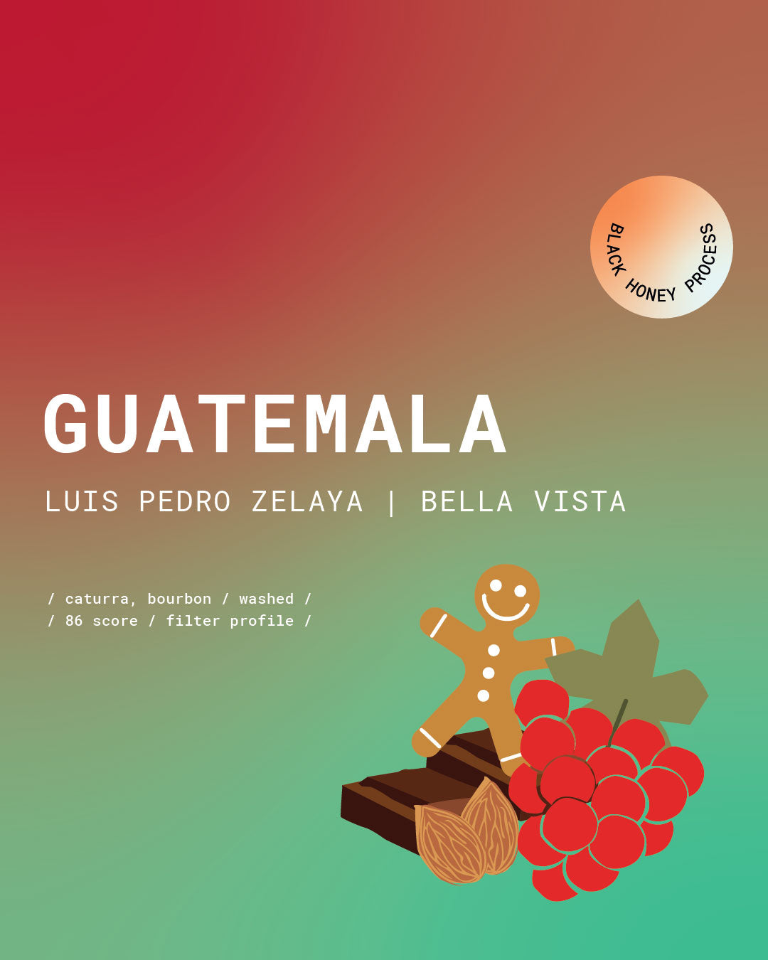 Guatemala | Luis Pedro Zelaya | Bella Vista