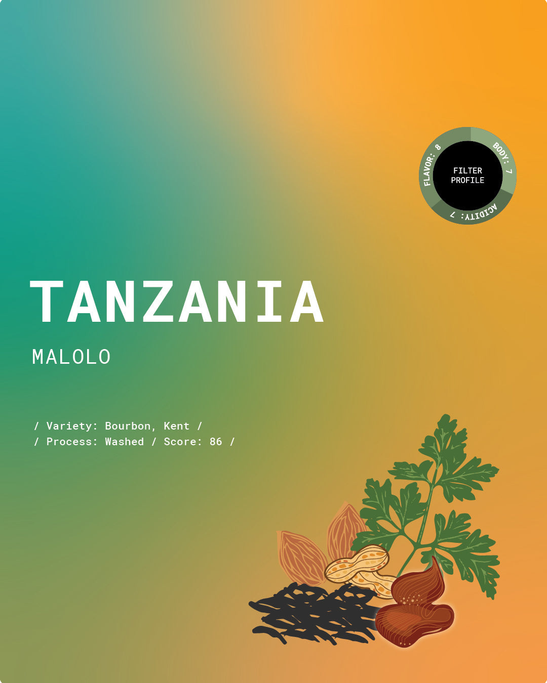 Tanzania Malolo