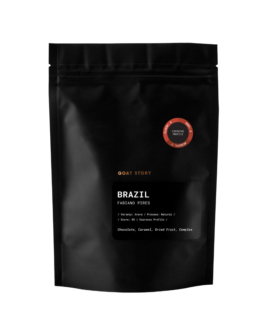 Brazil Fabiano Pires