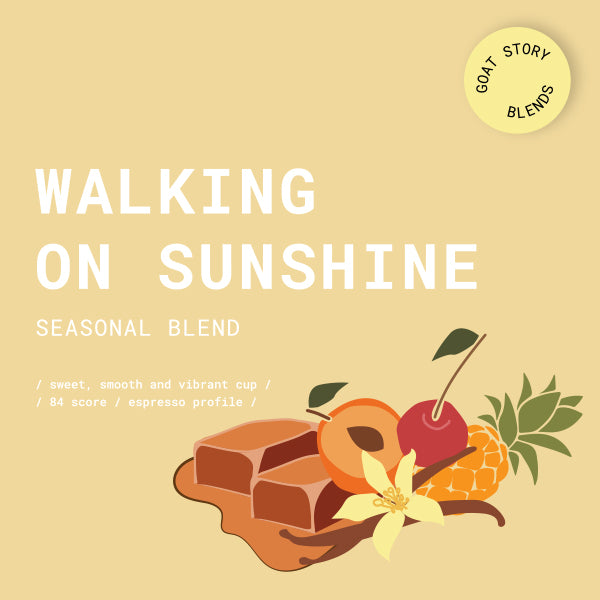 WALKING ON SUNSHINE